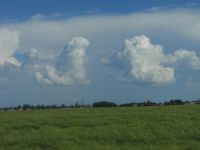 Lauko ir kamuolinių debesų vaizdas